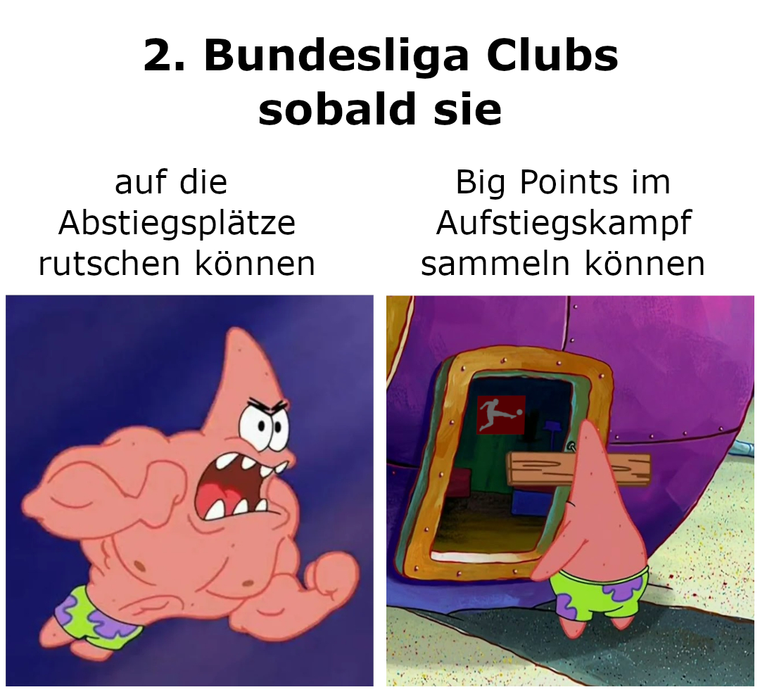 Lalpengu | David Otto Fanbusfahrer tweet media