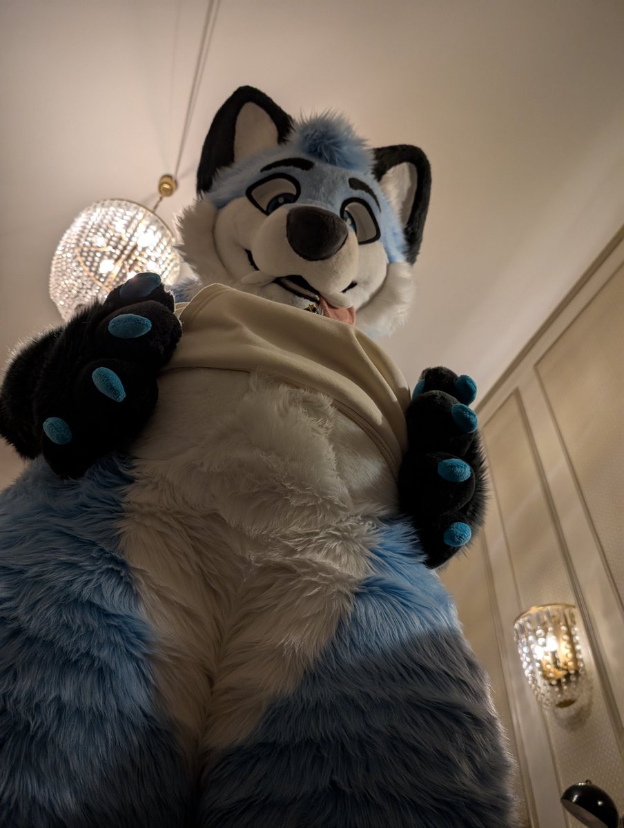 Aero 🦊 tweet media