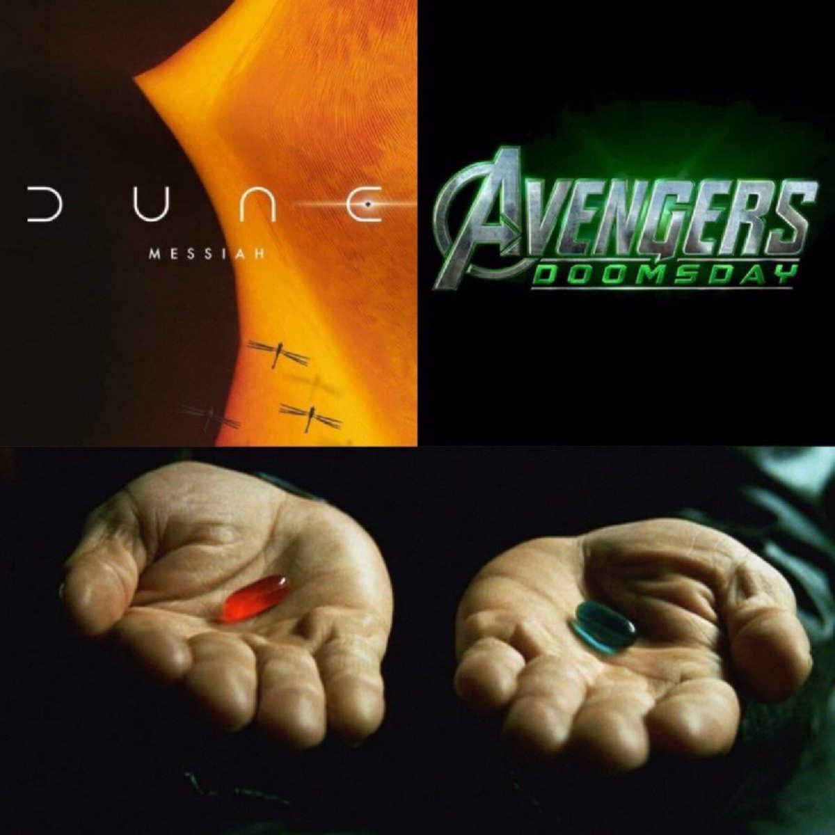 Sepzeno⚡️ tweet media