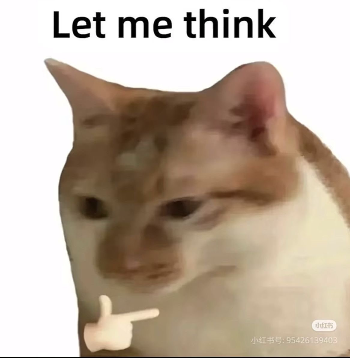 Harlan Rasjad. tweet media