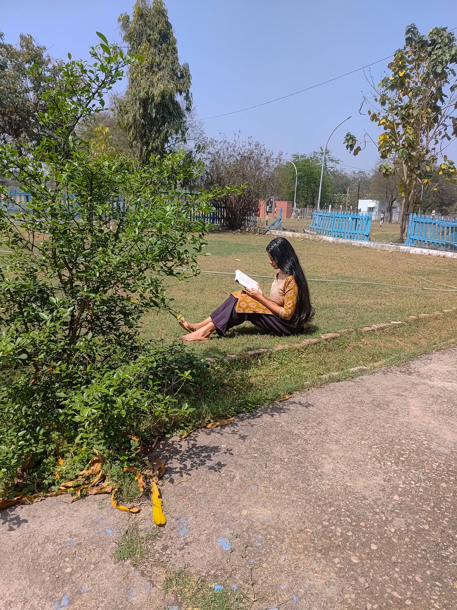 metamorphosingwriter tweet media