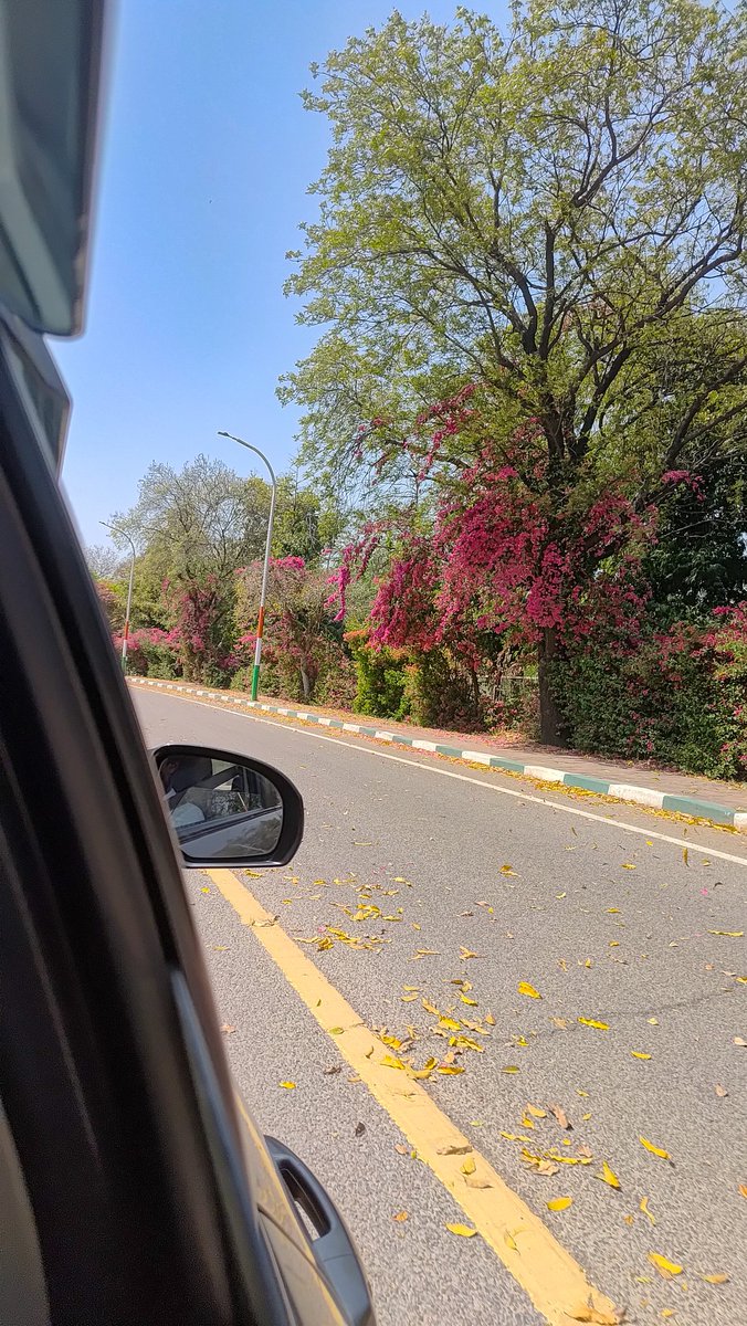 metamorphosingwriter tweet media