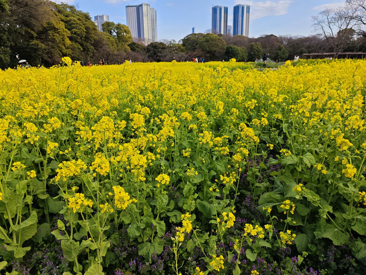 Warren伦 tweet media