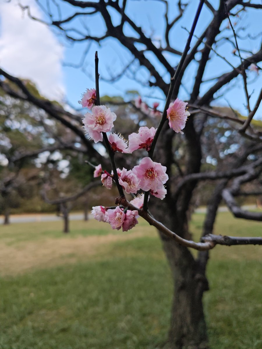 Warren伦 tweet media