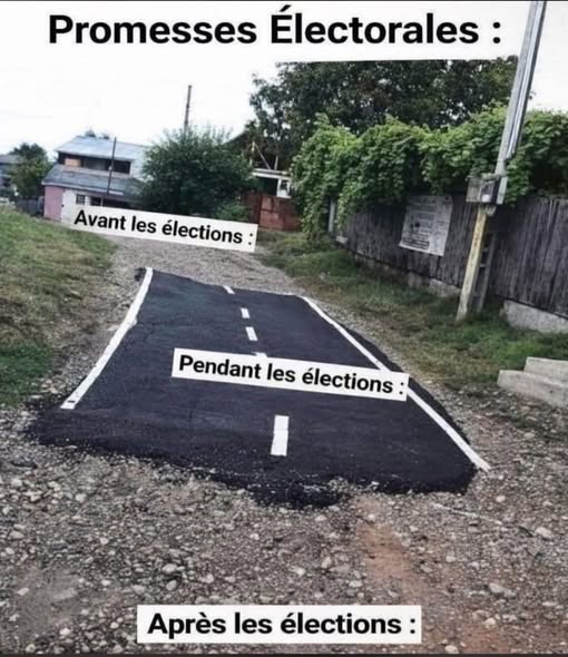 🇨🇵 Patrick 🇮🇹 ✨️✨️👀🌿🌿 tweet media