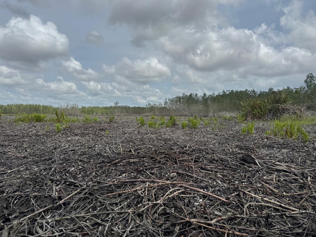 WHROGHANA tweet media