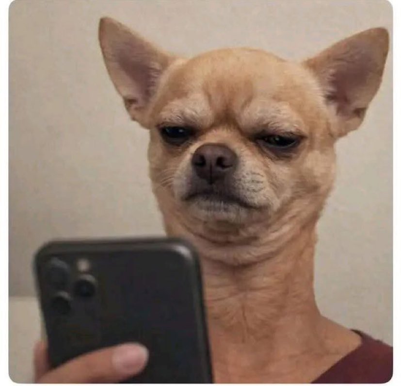 T_Dee 🇺🇸🇩🇪🇿🇦🇸🇦 tweet media