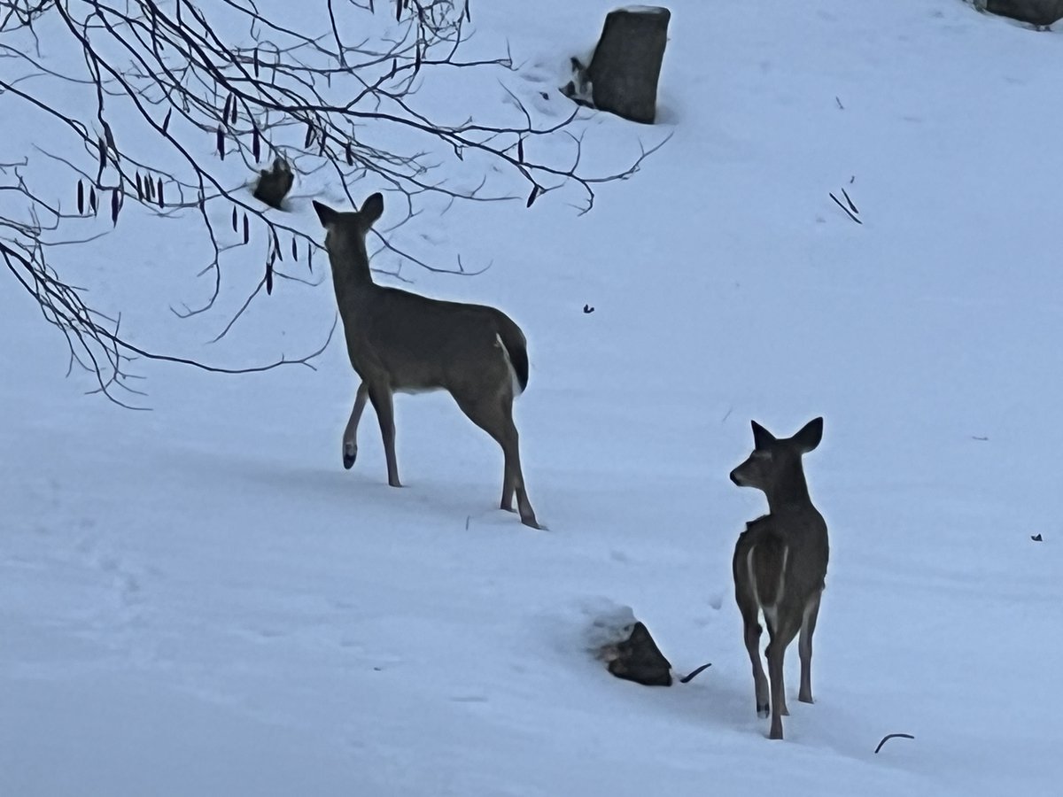 PeggySueWells's tweet image. As a single mom, creating a nurturing home starts with you. Fill it with love, laughter, and God's peace—even on chaotic days. Tip from the book: Start small traditions that build memories. The Ten Best Decisions A Single Mom Can Make #SingleMomLife #ChristianFamily #Parenting