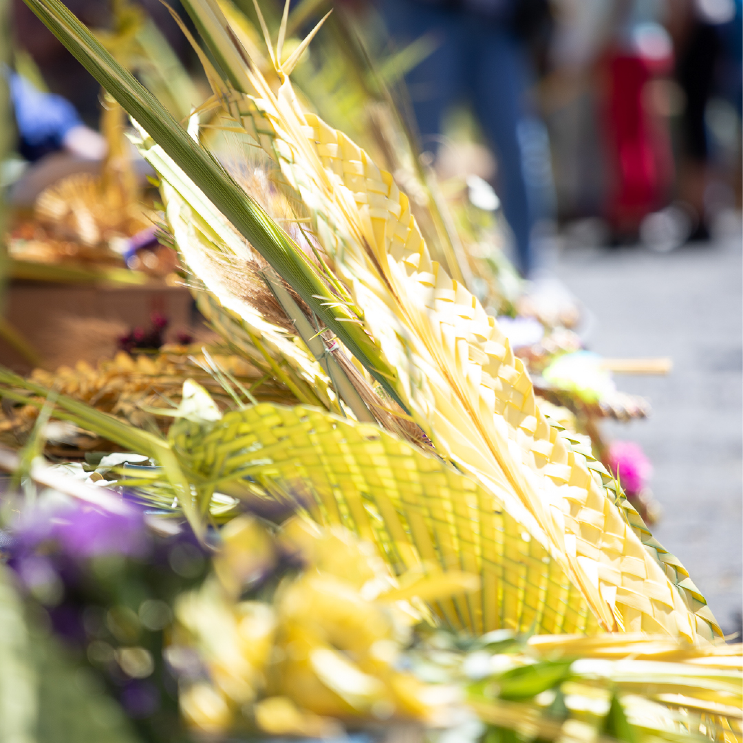 Michoacán tweet media