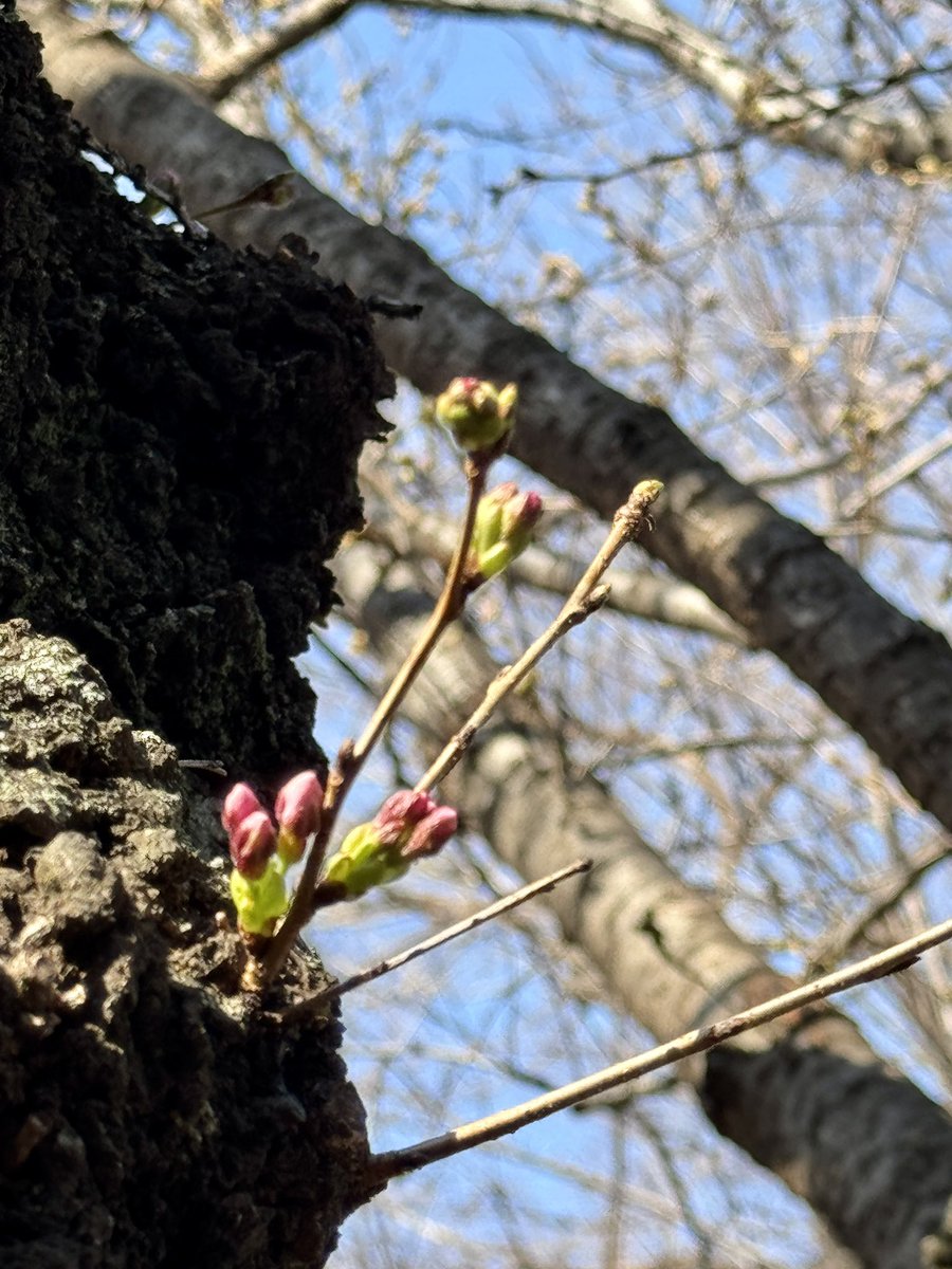 浅倉大介 tweet media