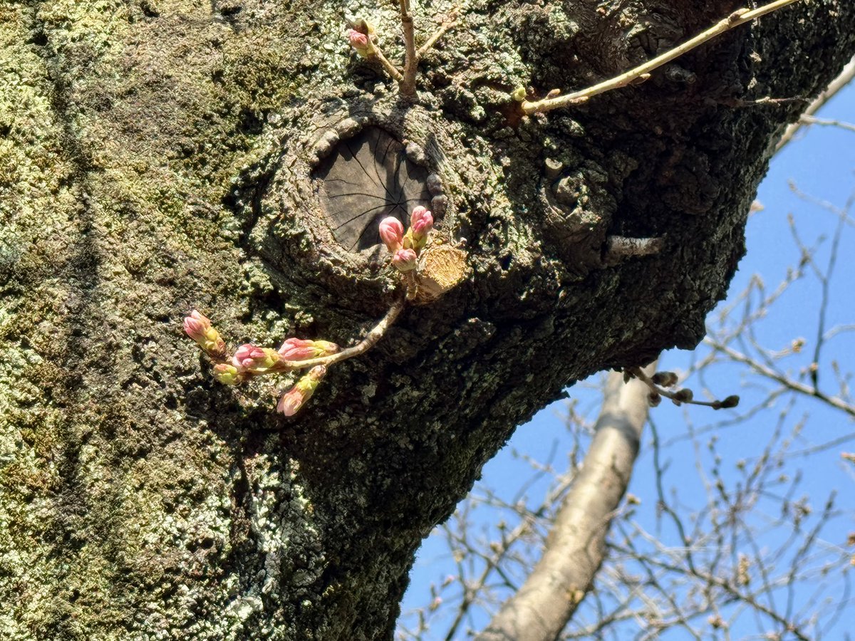 浅倉大介 tweet media