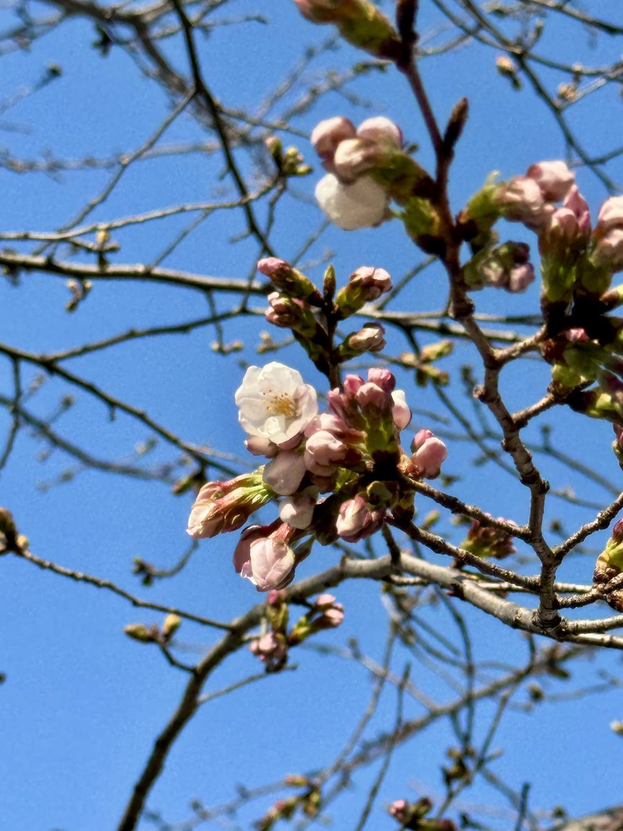 浅倉大介 tweet media