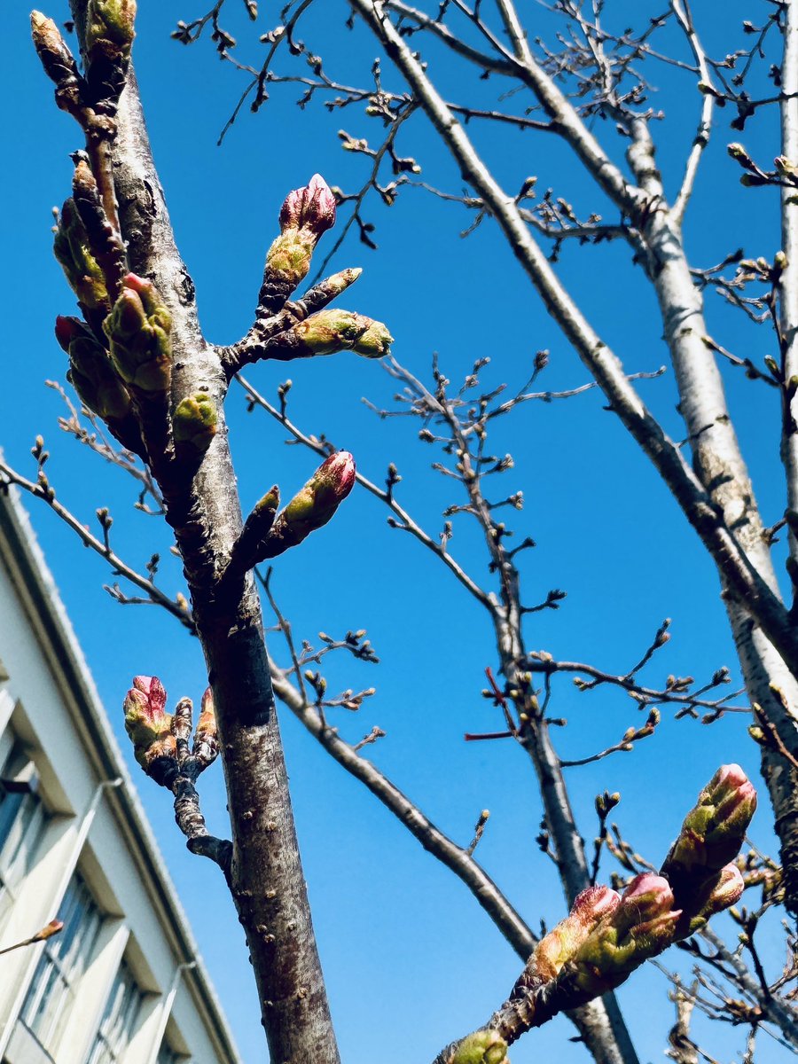 浅倉大介 tweet media