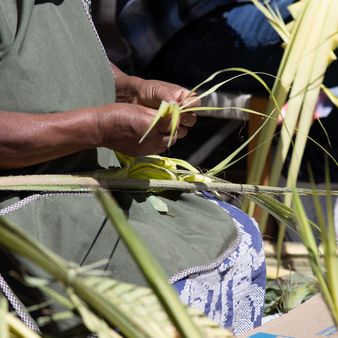 Michoacán tweet media