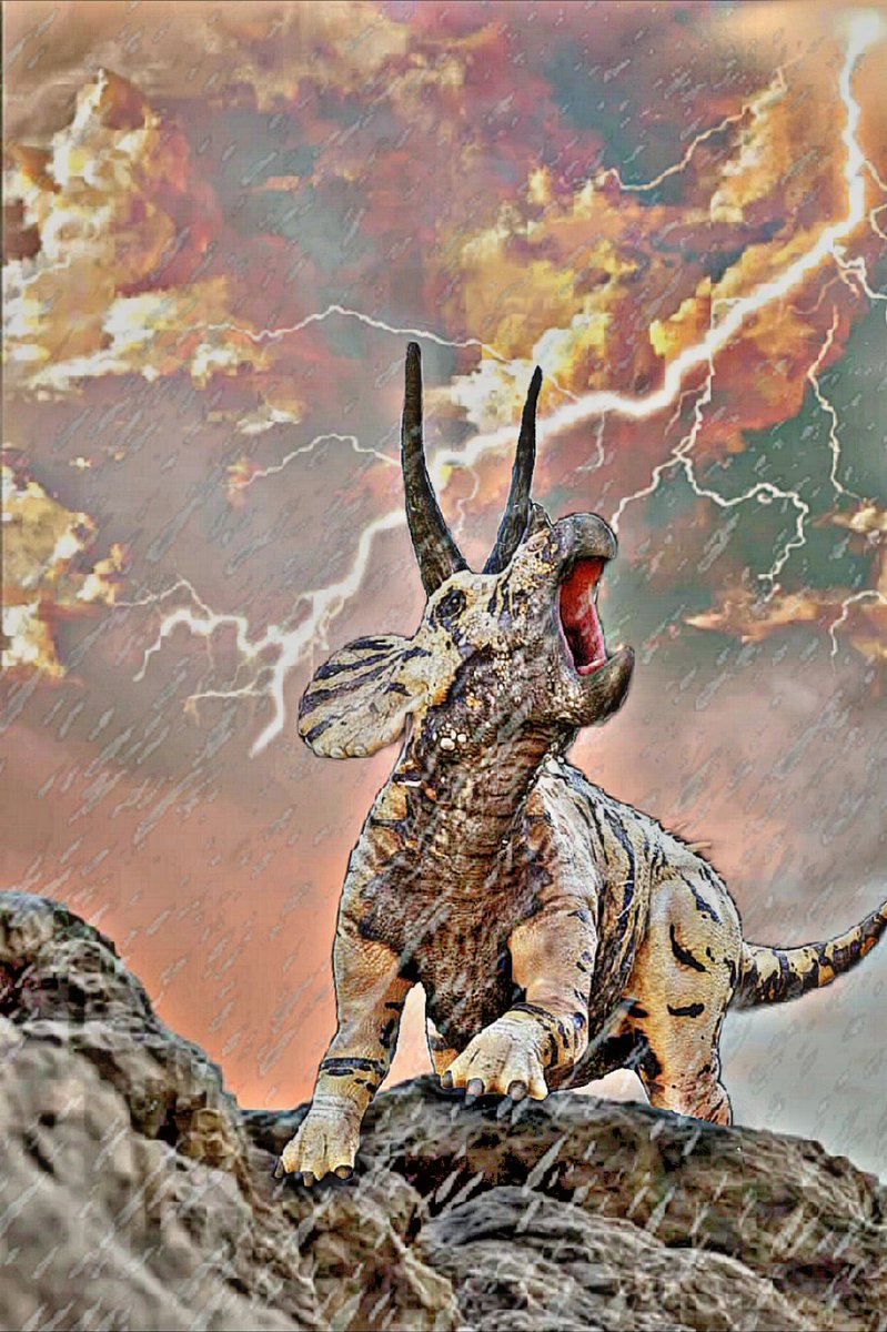 Triceratops tweet media