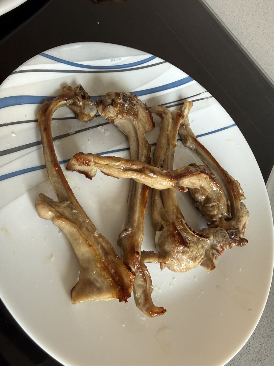 Ricciardo M Gas 🔥 tweet media