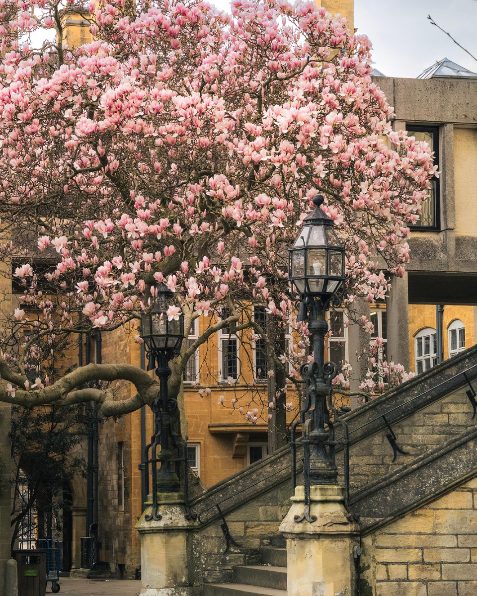 University of Oxford tweet media