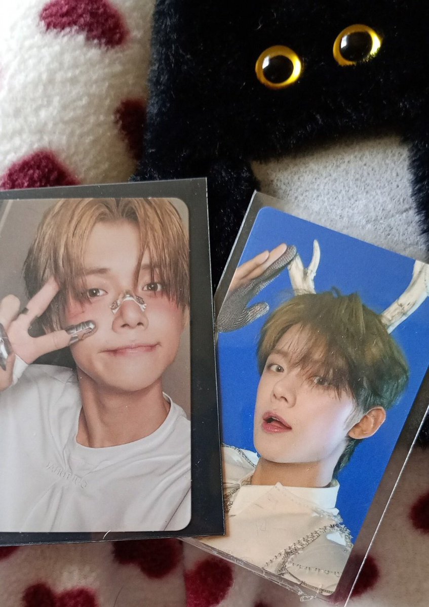 mandi ; aus tweet media