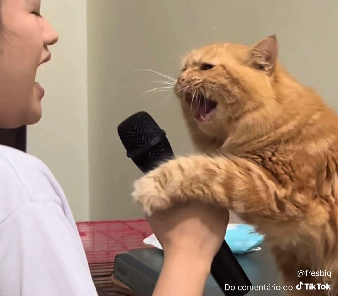 jottinha tweet media