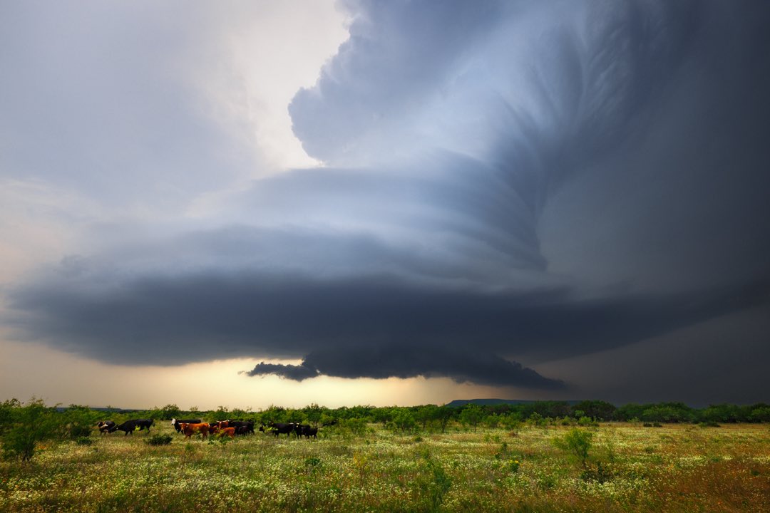 Tim Baca tweet media