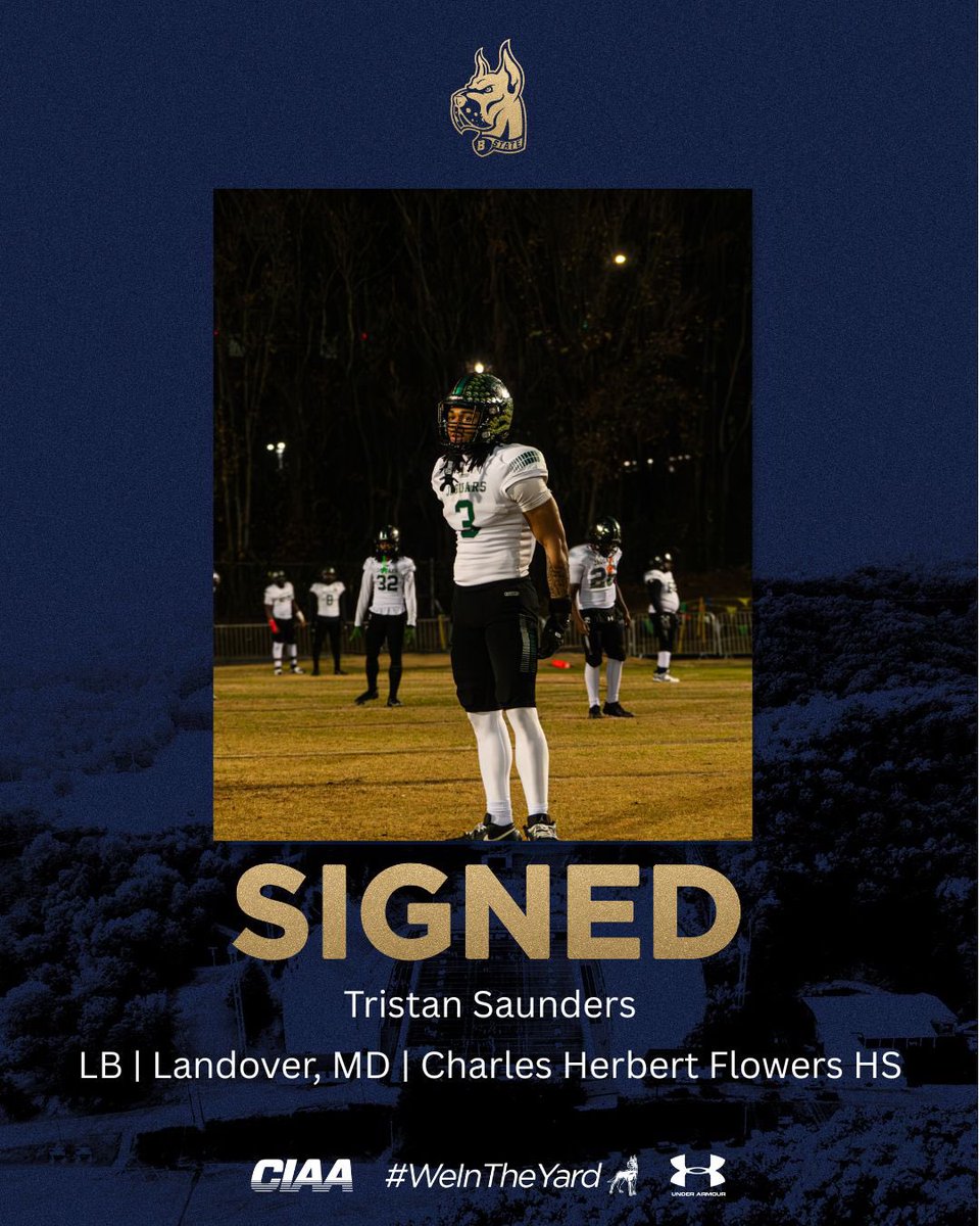 Tristan Saunders tweet media