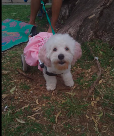 DiscasRodandoxLaVida tweet media