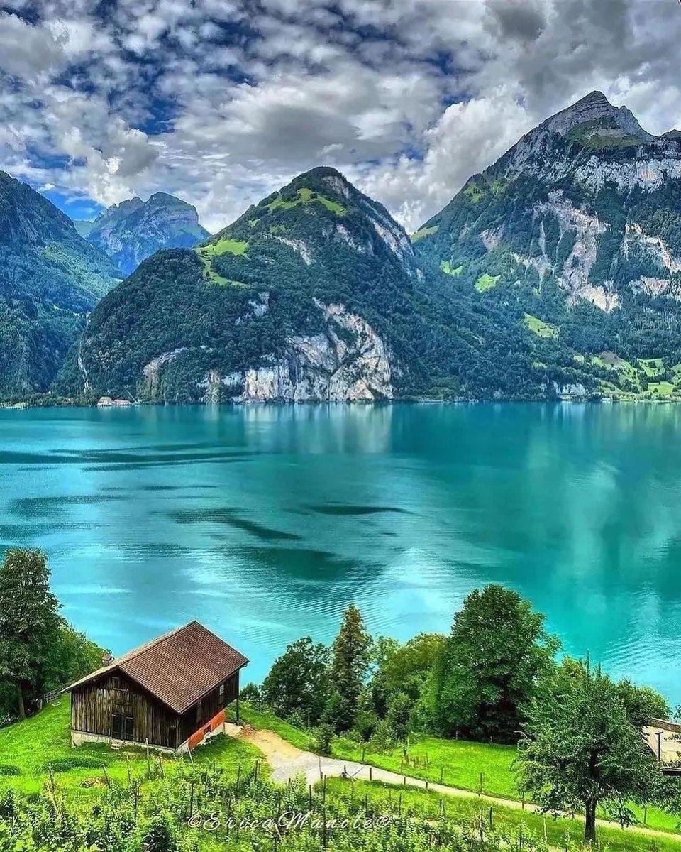 Duke of Africa tweet media