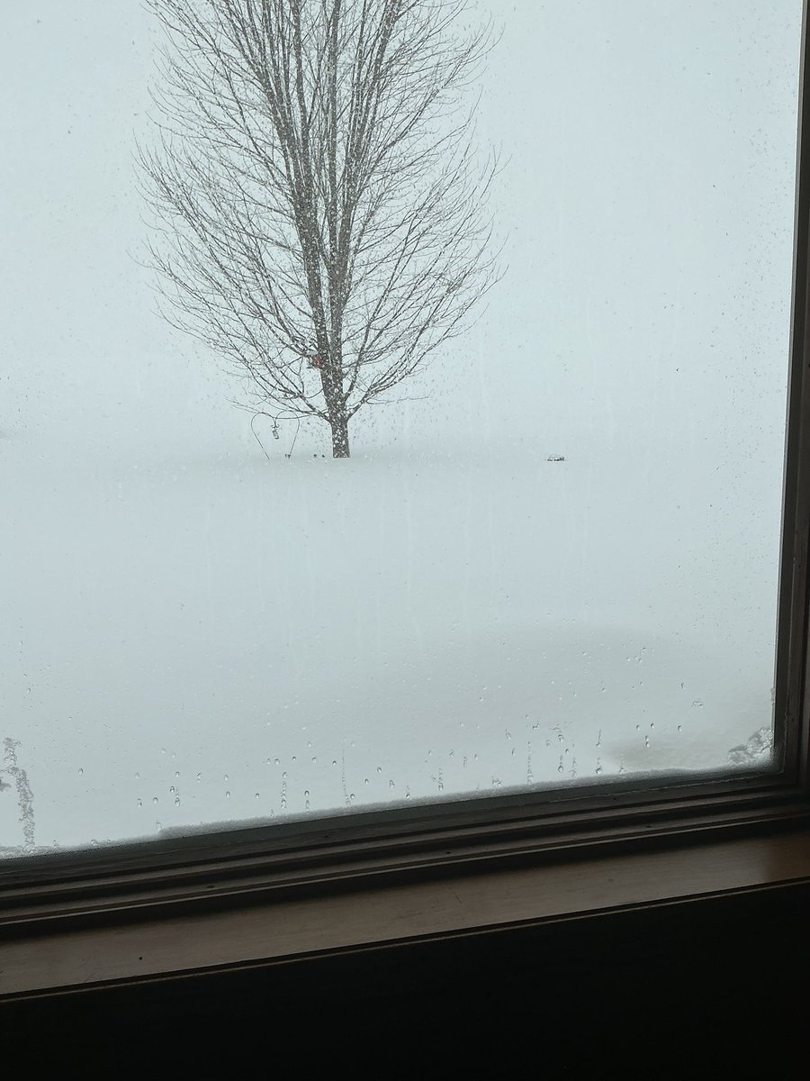 So glad I don’t have to go anywhere today! This is one of the heaviest snowfall that ever.￼I have seen. In my life! ￼❄️