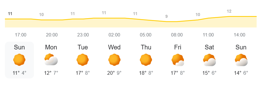 Shac Nicholson tweet media