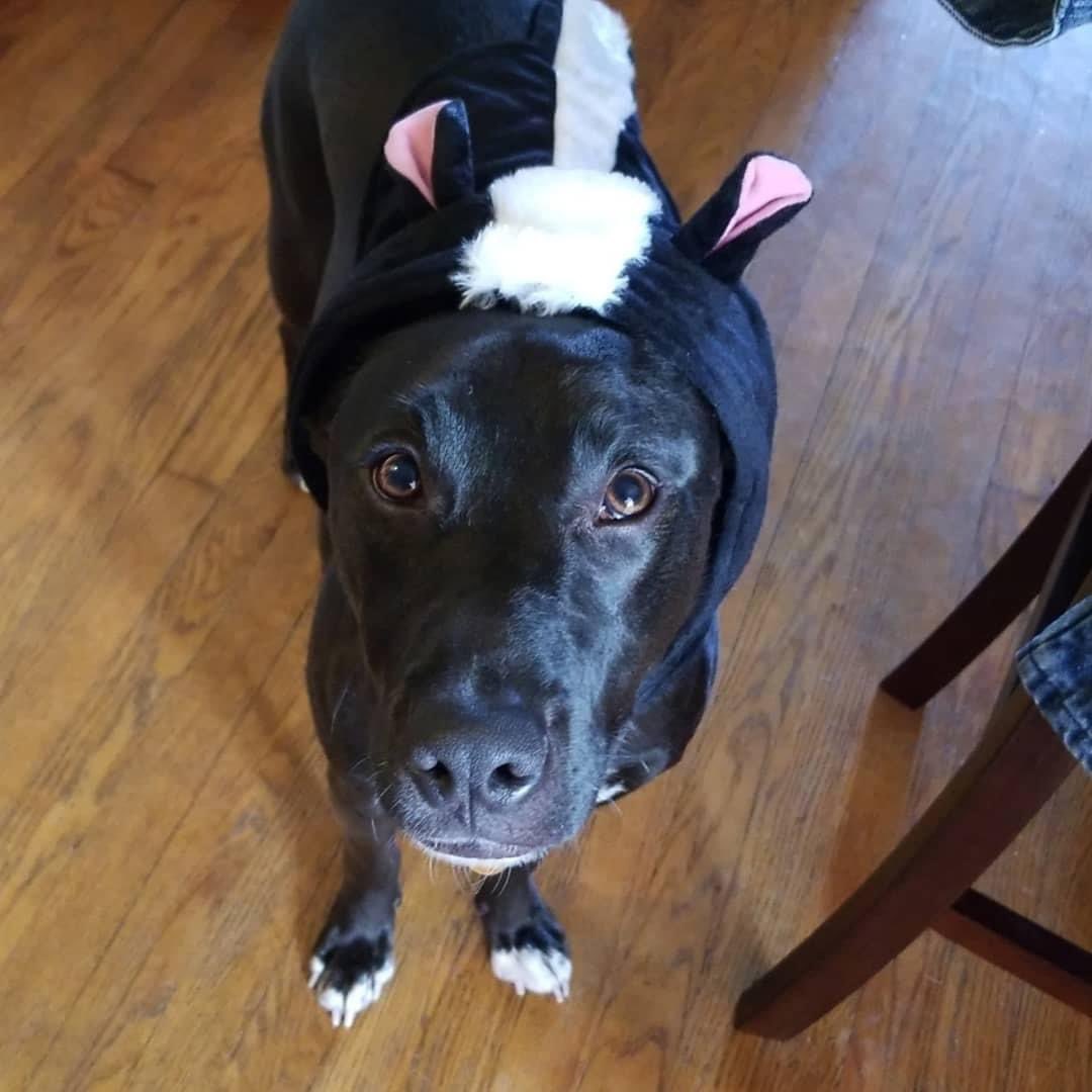 ✨Allie❤️🔥✨ tweet media