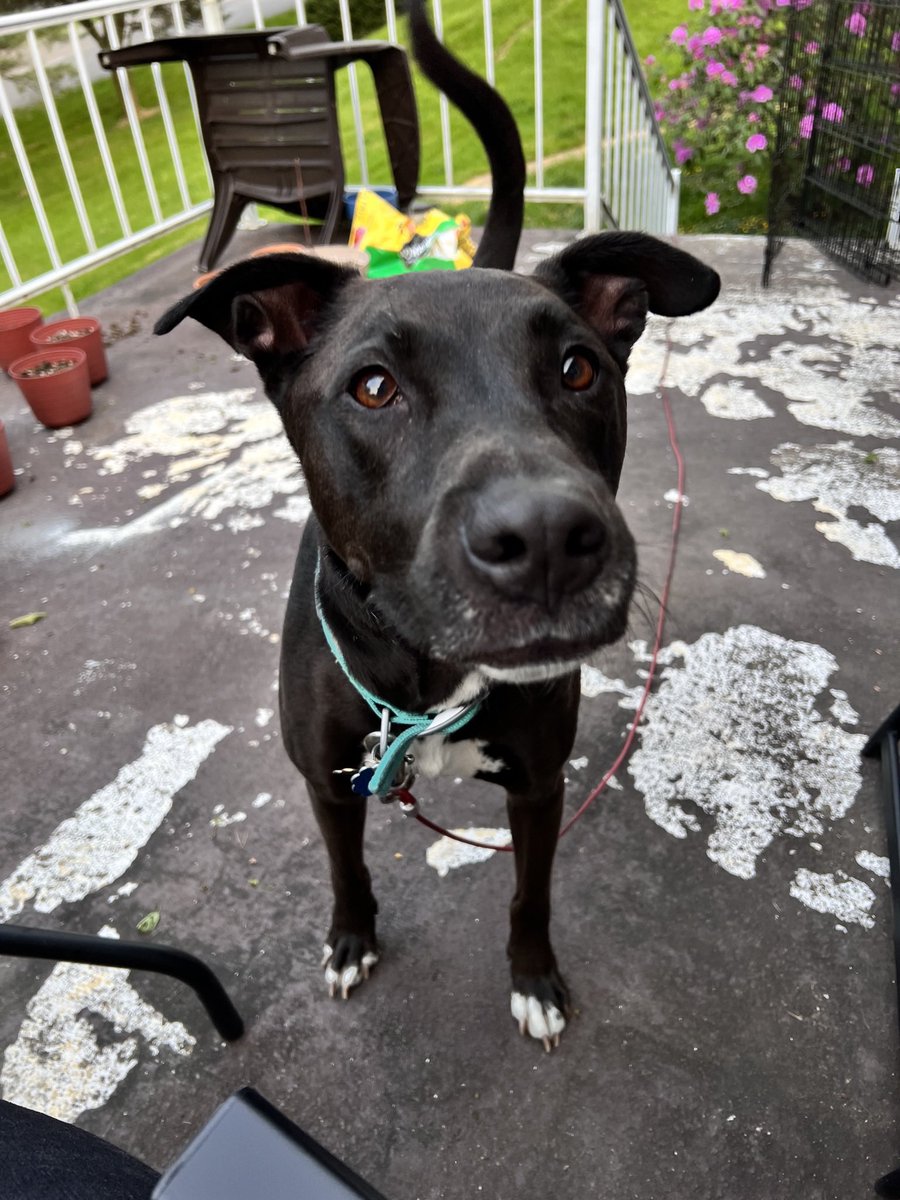 ✨Allie❤️🔥✨ tweet media