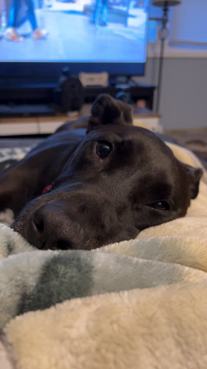 ✨Allie❤️🔥✨ tweet media