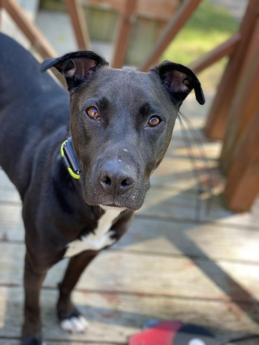 ✨Allie❤️🔥✨ tweet media