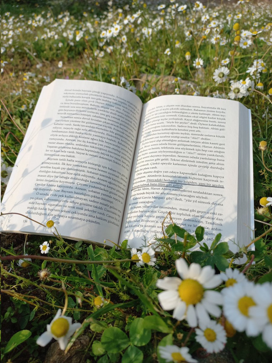 helingncc's tweet photo. 📚🤍🌼 https://t.co/6RVyez5gxh