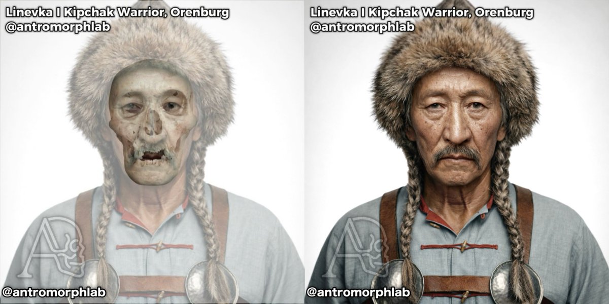 AntromorphLab tweet media