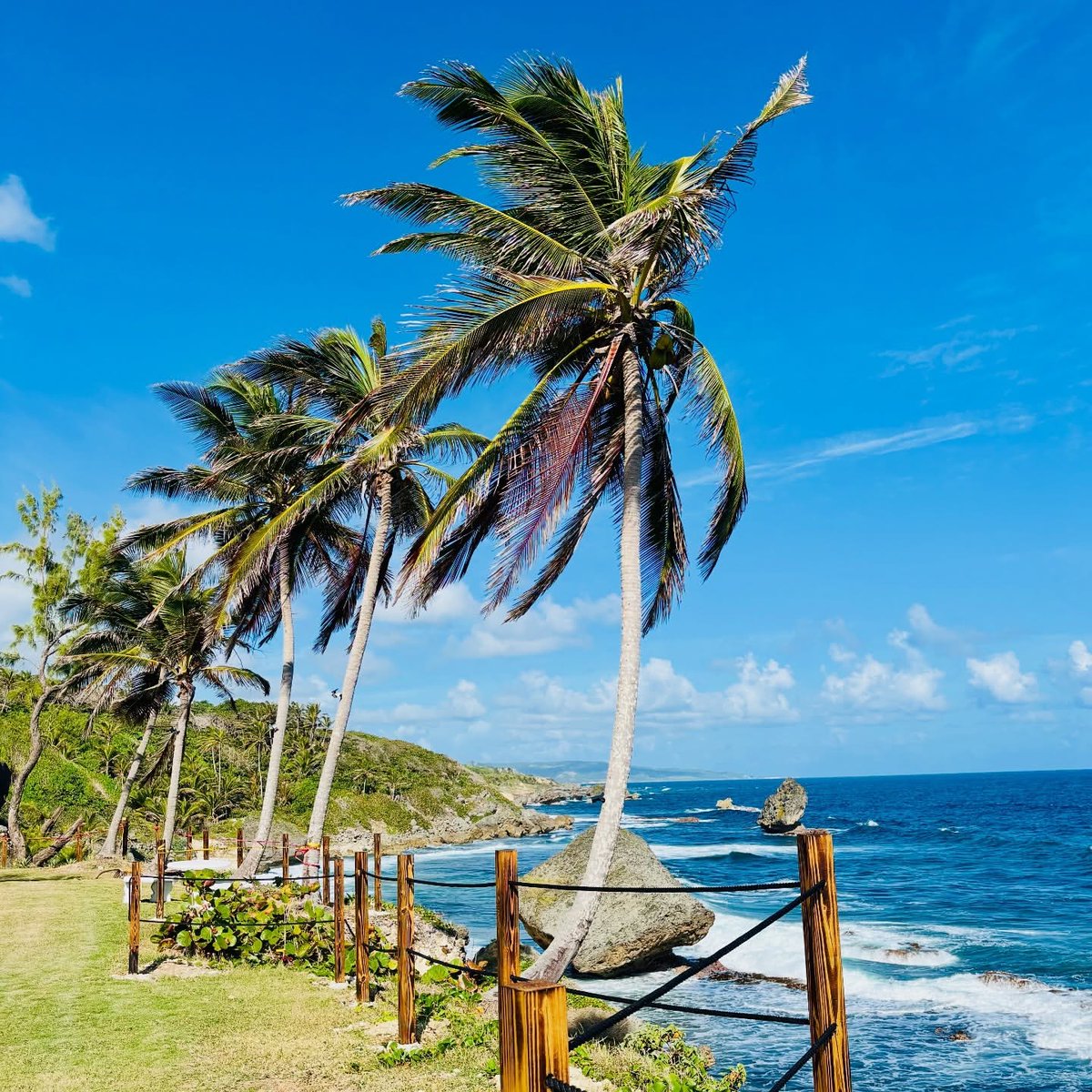 Barbados's tweet image. Nothing resets the mind like Barbados.🇧🇧✨
Ocean views, island breeze, and a moment to slow down. The perfect way to ease into a brand new week.  

📸: @thisisladymac, thanks for sharing!

#MyBarbados #LoveBarbados #VisitBarbados #BarbadosViews