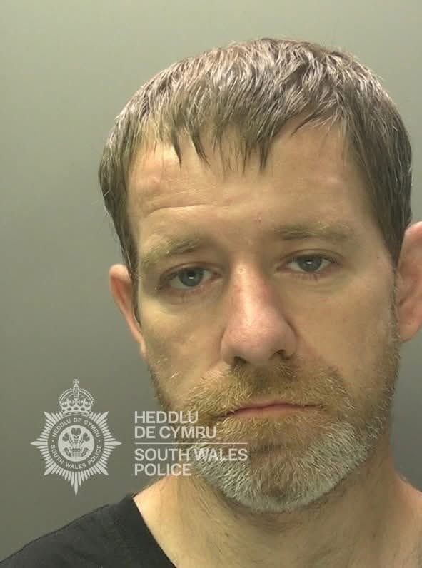 Danielle Proto tweet media