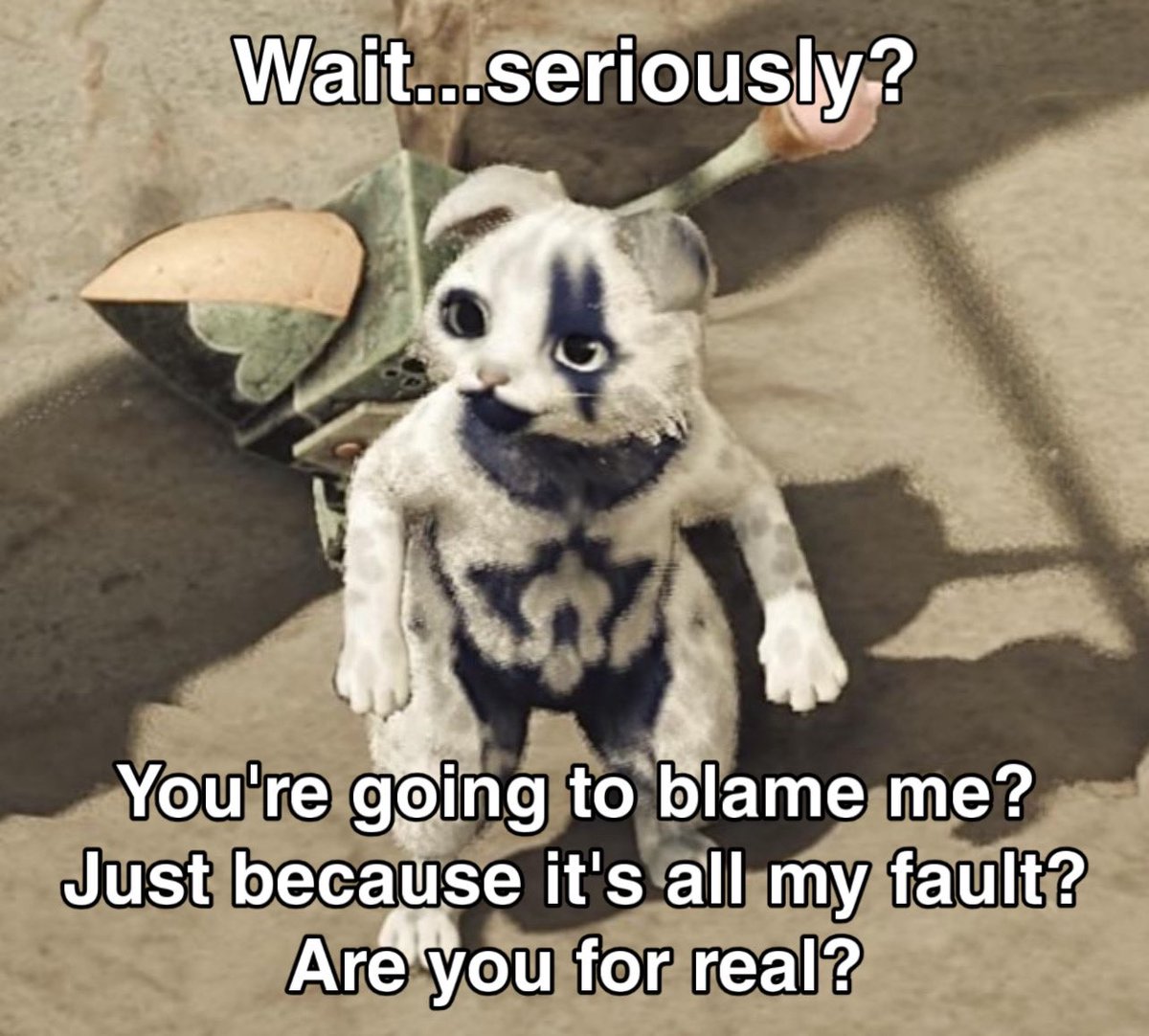 QuirklessStoner's tweet photo. How my palico feels every time I say I fainted because of him https://t.co/o6Go3ourfd