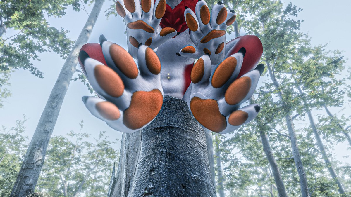 TEXT 𝕏 tweet media