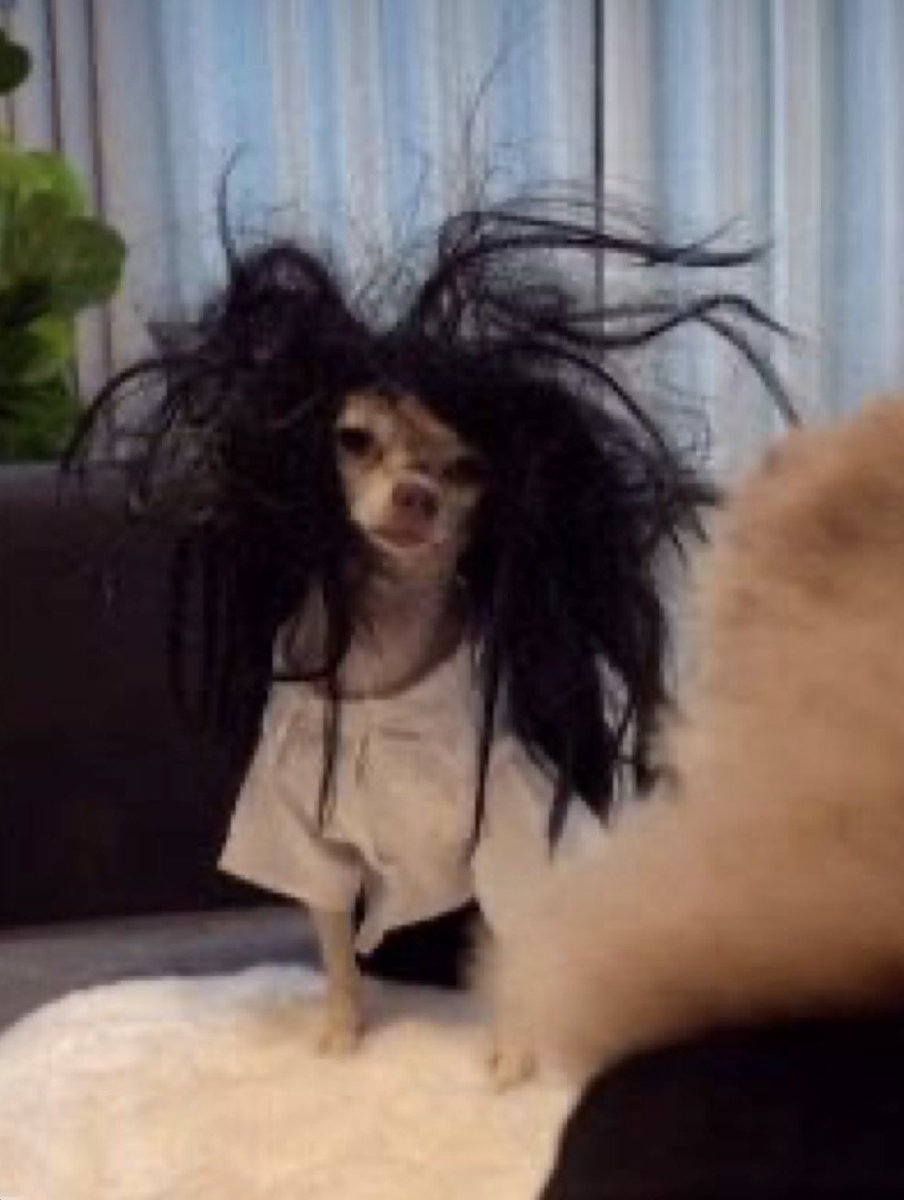 MOROCCO’🇲🇦 tweet media