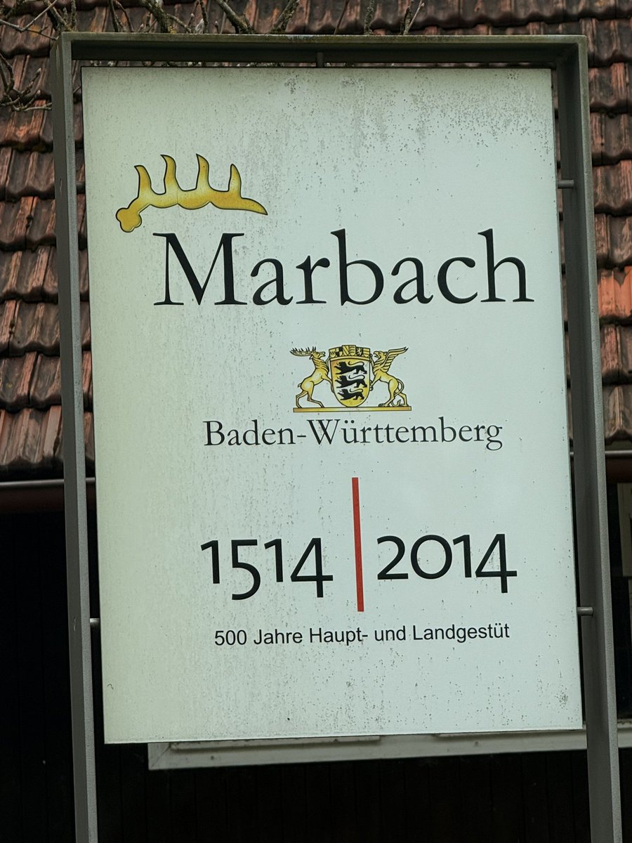 Sandro Scheer MdL tweet media