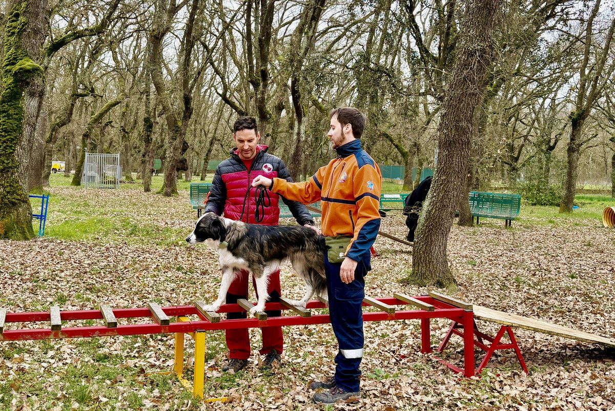GremUcr's tweet photo. Tras nuestra semana de formación y homologación en búsqueda y rescate en Avalanchas. Esta semana han estado los compañeros y amigos del equipo canino de Samur entrenando y preparando sus perros junto a los miembros del Grem.  
Equipo Canino SAMUR-Proteccion Civil @equipo_canino https://t.co/BPXpwCccU3