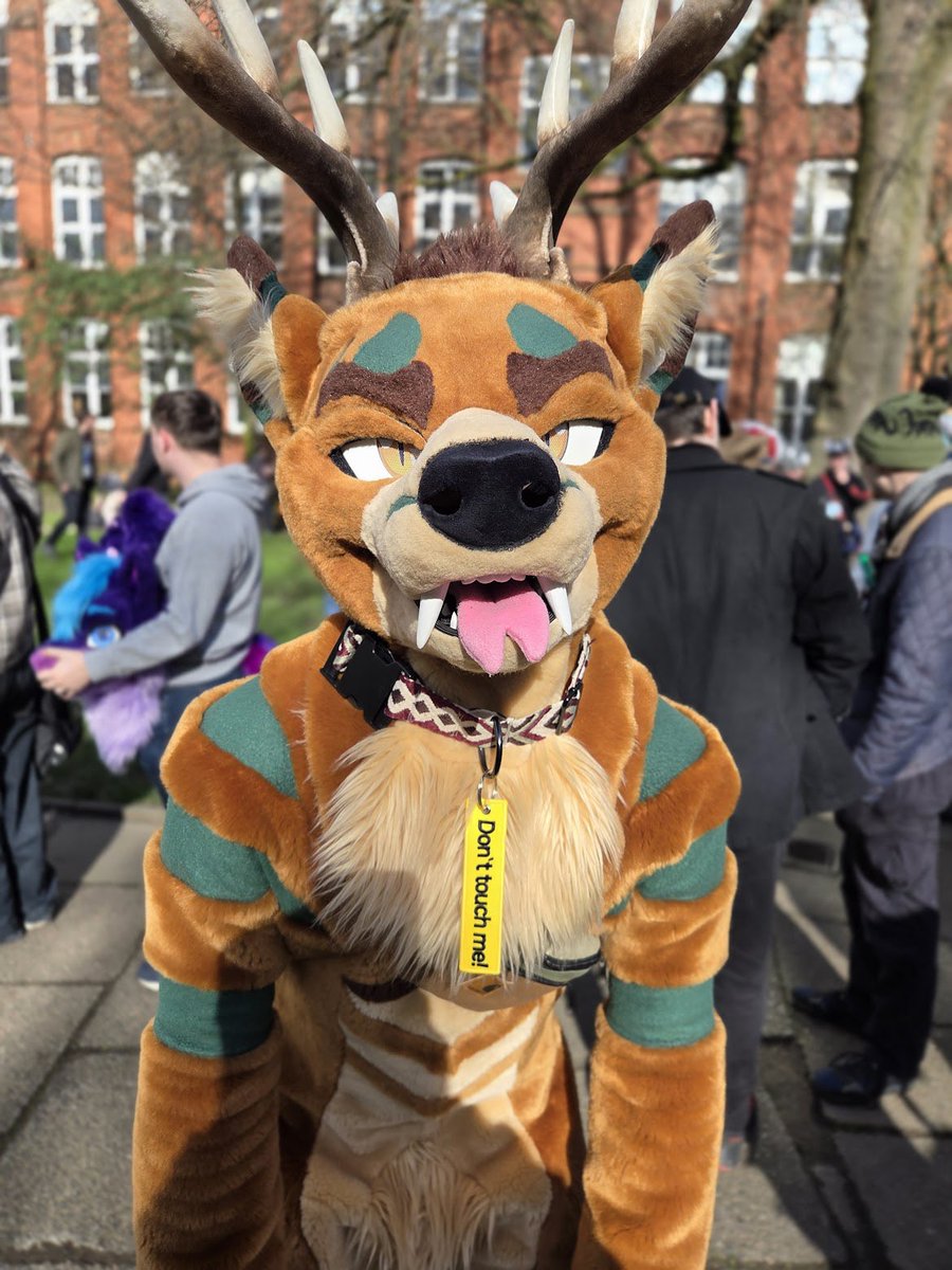 Sol ✨🇬🇧 tweet media