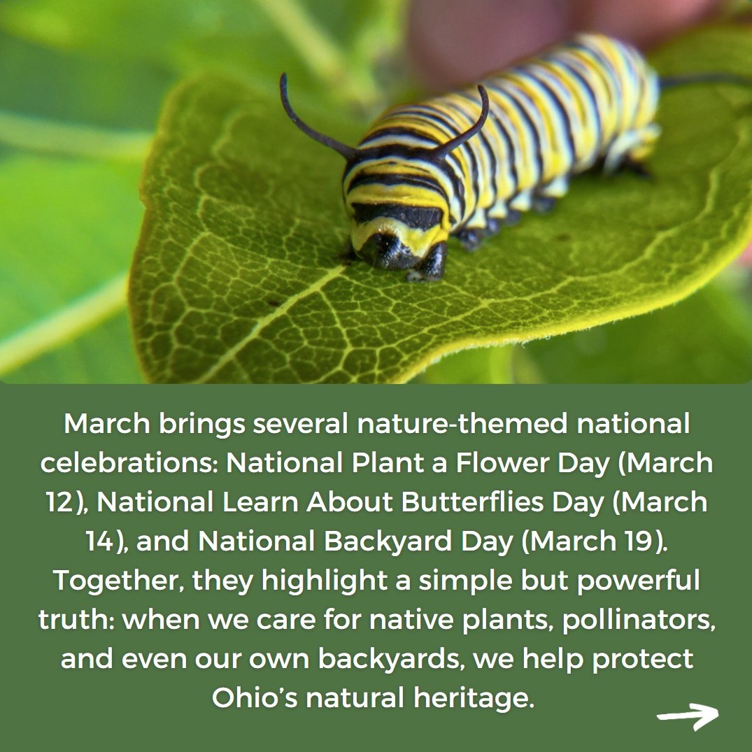 Ohio State Parks & Watercraft tweet media