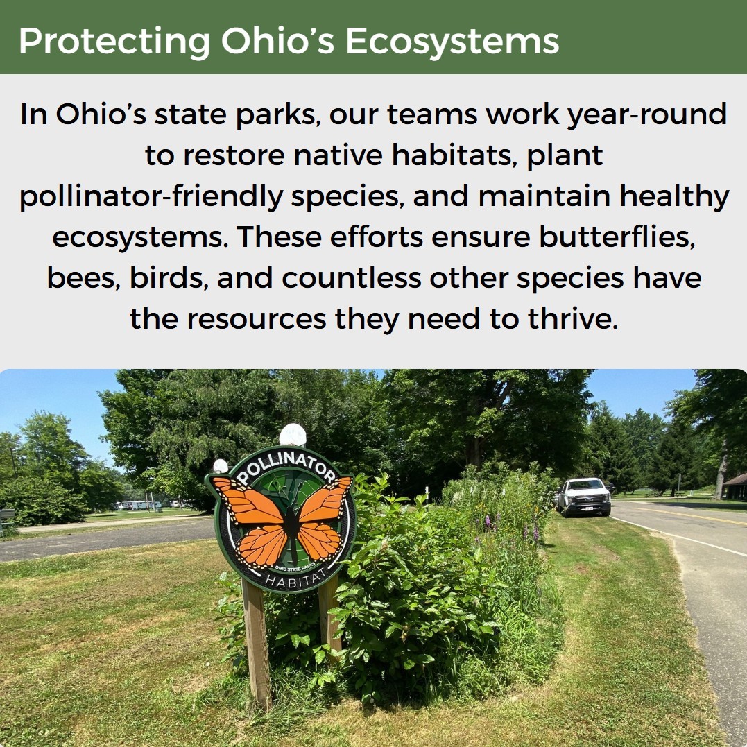 Ohio State Parks & Watercraft tweet media