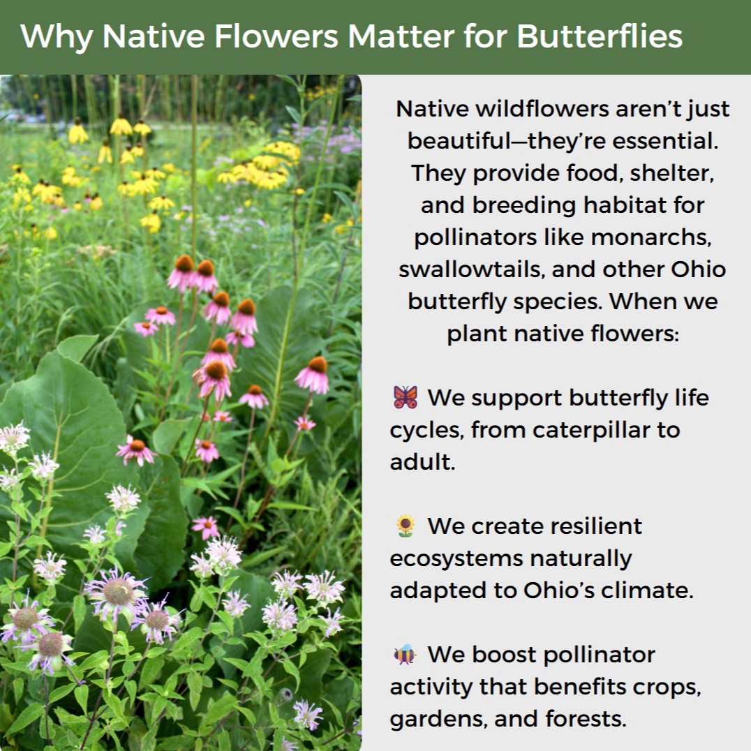 Ohio State Parks & Watercraft tweet media