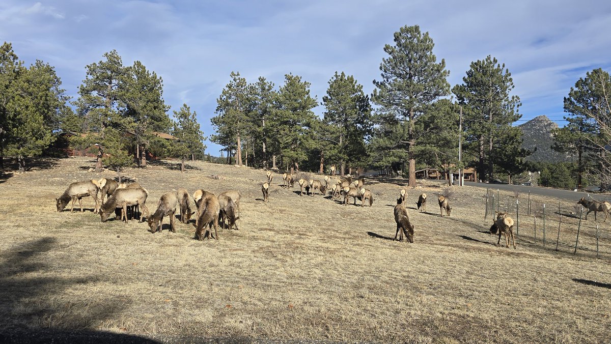 Rep. Rachel Rodriguez-Williams tweet media