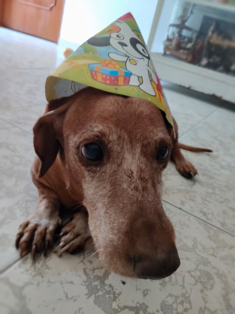 Nyxoky 💜⚠️ | Vtuber | Vgen Artist tweet media