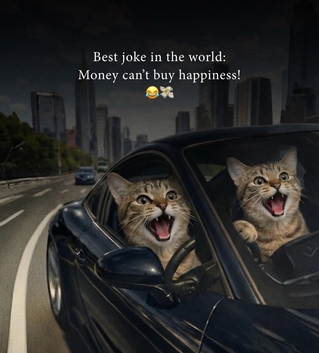 The Man Cave. (@alphafiles1) on Twitter photo 