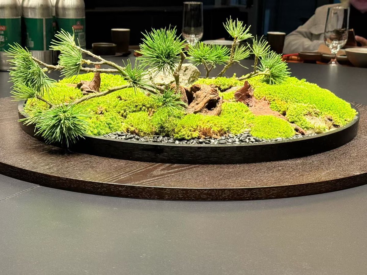 LOYAL路遥 tweet media